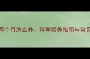 哈士奇两个月怎么养科学喂养指南与常见问题全