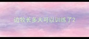 边牧长多大可以训练了