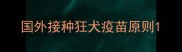 国外接种狂犬疫苗原则