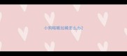 小狗咳嗽拉稀怎么办