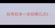 拉布拉多一岁后喂几次