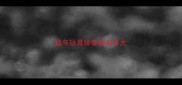 成年玩具体泰迪有多大