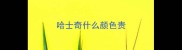 哈士奇什么颜色贵