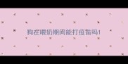 狗在喂奶期间能打疫苗吗
