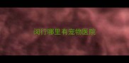 闵行哪里有宠物医院