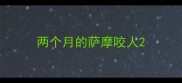 两个月的萨摩咬人