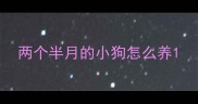 两个半月的小狗怎么养