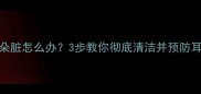 猫咪耳朵脏怎么办3步教你彻底清洁并预防耳部疾病