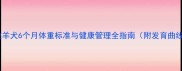 边境牧羊犬6个月体重标准与健康管理全指南附发育曲线图