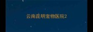 云南昆明宠物医院