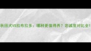 秋田犬VS拉布拉多哪种更值得养忠诚度对比全