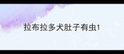 拉布拉多犬肚子有虫