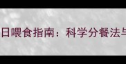 拉布拉多犬每日喂食指南科学分餐法与营养配比全