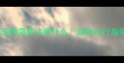 公交车上带宠物需要注意什么最新出行指南与法规全