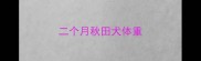 二个月秋田犬体重