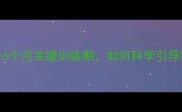边牧安静期3-6个月关键训练期如何科学引导狗狗安静下来