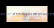 哈士奇到底能长多大幼犬期到成年的全周期饲养指南附成长对比图