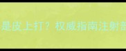 宠物疫苗皮下还是皮上打权威指南注射部位与注意事项