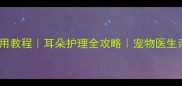 狗狗滴耳液正确使用教程耳朵护理全攻略宠物医生亲授安全滴耳方法