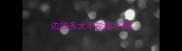 边牧多大不能生小狗