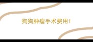 狗狗肿瘤手术费用