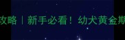 五个月泰迪养护全攻略新手必看幼犬黄金期这样养才聪明健康
