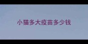 小猫多大疫苗多少钱