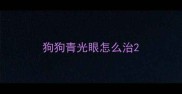 狗狗青光眼怎么治