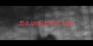 怎么训练边牧玩飞盘