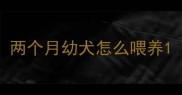 两个月幼犬怎么喂养