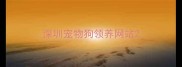 深圳宠物狗领养网站