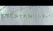 拉布拉多不到俩月耳朵小