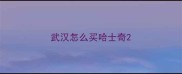 武汉怎么买哈士奇