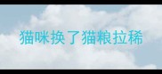 猫咪换了猫粮拉稀