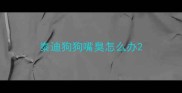 泰迪狗狗嘴臭怎么办