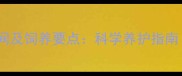 公狼青犬性成熟时间及饲养要点科学养护指南附成长周期表