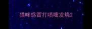猫咪感冒打喷嚏发烧