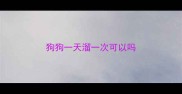 狗狗一天溜一次可以吗
