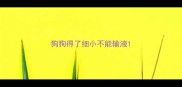 狗狗得了细小不能输液