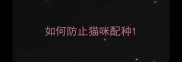 如何防止猫咪配种