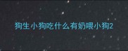 狗生小狗吃什么有奶喂小狗