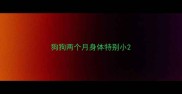 狗狗两个月身体特别小