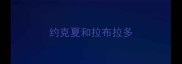 约克夏和拉布拉多