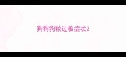 狗狗狗粮过敏症状