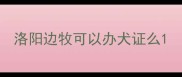 洛阳边牧可以办犬证么