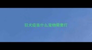 狂犬疫苗什么宠物需要打