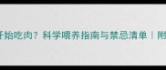 幼犬几个月开始吃肉科学喂养指南与禁忌清单附换肉期食谱