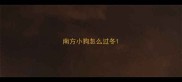 南方小狗怎么过冬