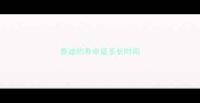 泰迪的寿命是多长时间