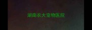 湖南农大宠物医院